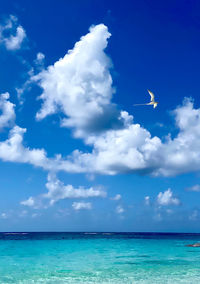 Scenic view of sea against blue sky