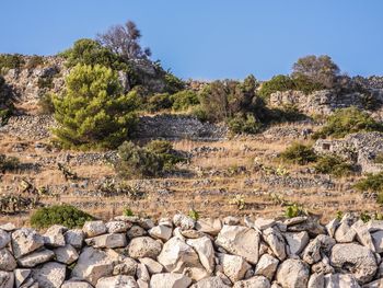 Scenic view of landscape against clear sky