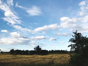 Scenic view of field against sky