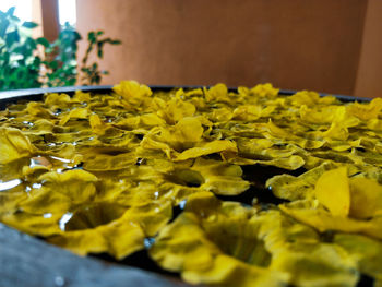 Close-up of yellow flowering plant leaves on table
