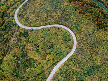 High angle view of winding road in forest