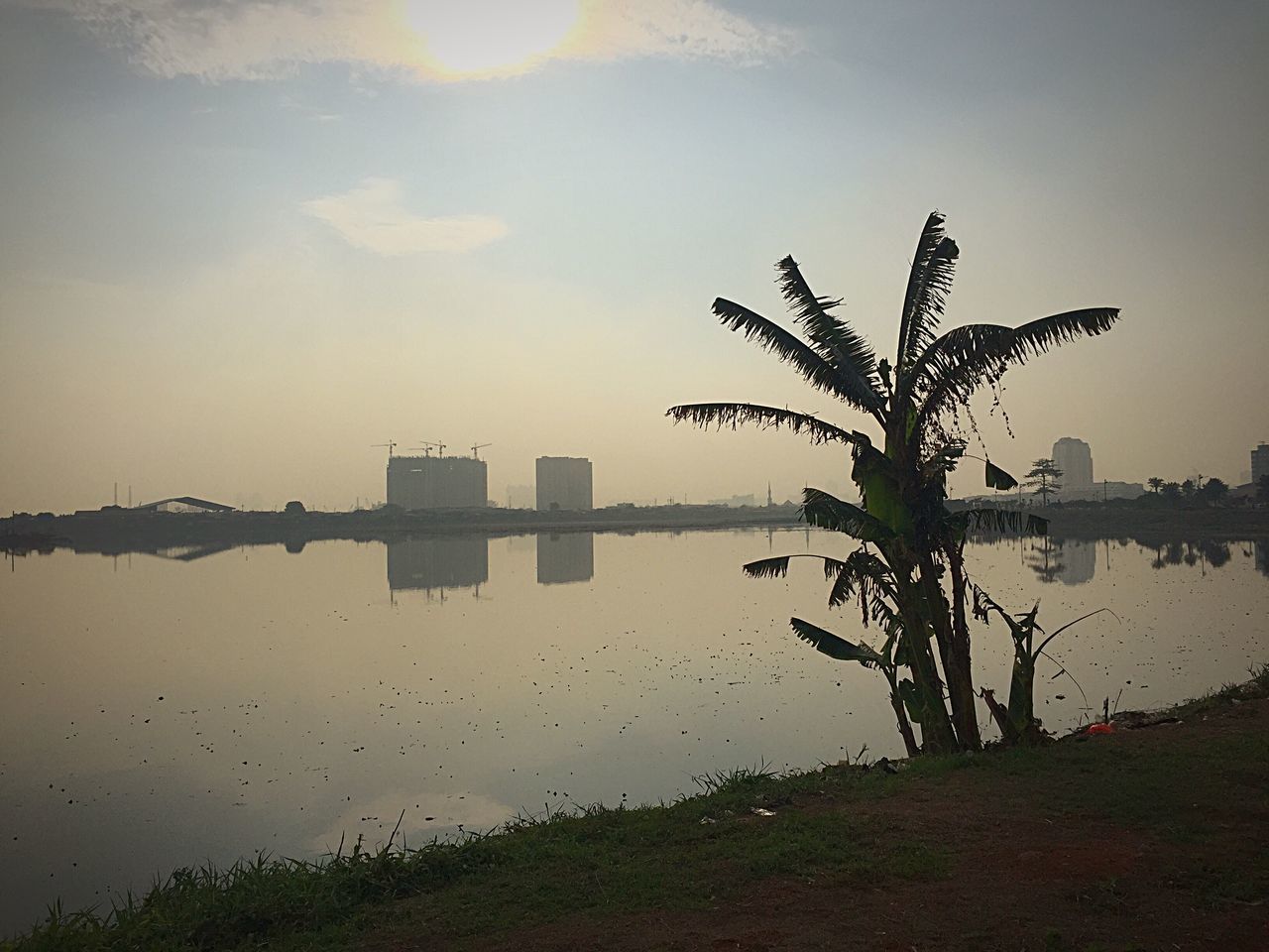 sky, water, built structure, architecture, tree, silhouette, sunset, nature, growth, tranquility, building exterior, branch, plant, dusk, tranquil scene, beauty in nature, lake, reflection, no people, outdoors