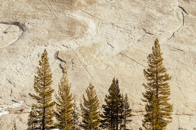 High angle view of snow covered land