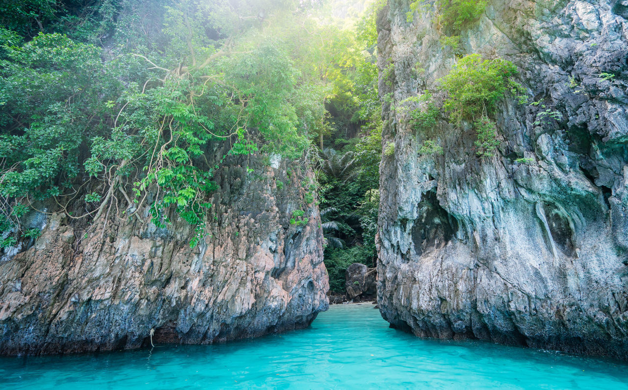 SCENIC VIEW OF WATERFALL