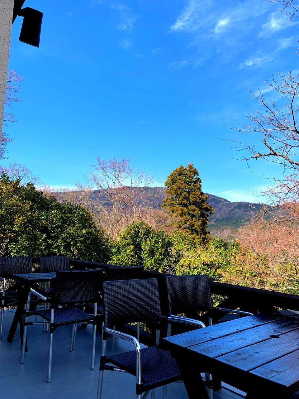 EMPTY CHAIRS AND TABLE AGAINST TREES