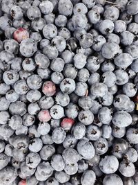 Full frame shot of blueberries
