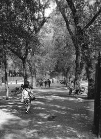 People walking on tree