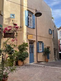 Potted plant on street by building