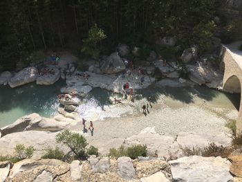 High angle view of people standing on rock by trees