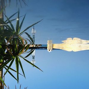 Low angle view of building against blue sky