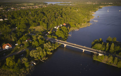 High angle view of river amidst trees