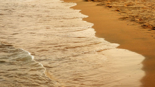 Scenic view of beach