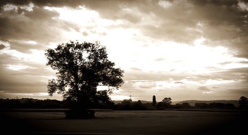 Silhouette tree on field against sky