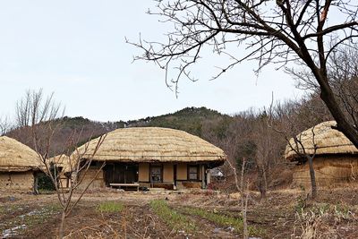 Houses and bare trees against sky