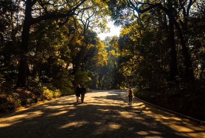 People walking on road amidst trees during autumn