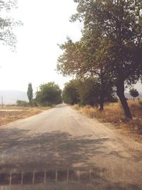 Empty road along trees