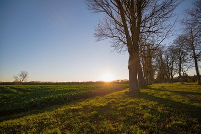 Scenic view of grassy field against sky during sunset