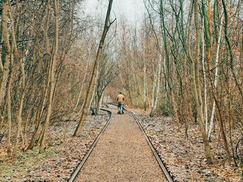 Rear view of man walking on railroad track amidst bare trees in park