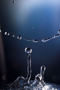 Close-up of water drop on leaf