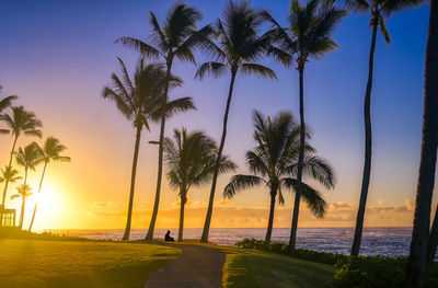 Palm trees on beach against sky during sunset