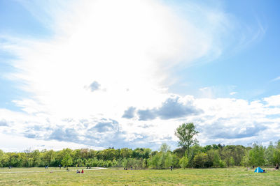 Scenic view of field against sky