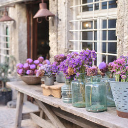 Close-up of potted plant