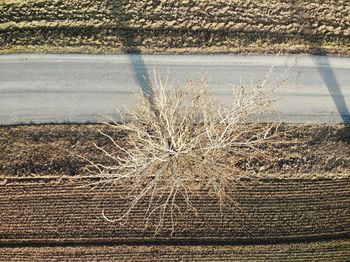 High angle view of snow on road