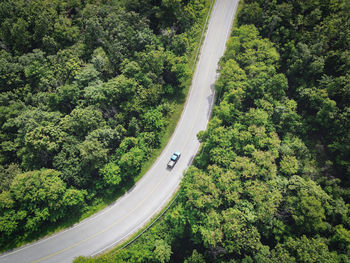 High angle view of road amidst trees