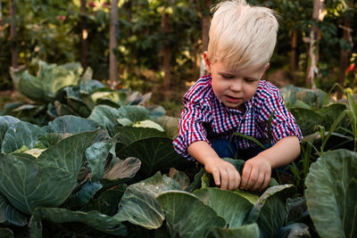 Baby girl with plants in background