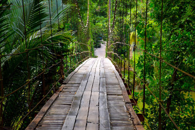 Wooden footbridge in forest