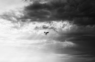 Low angle view of silhouette airplane flying in sky