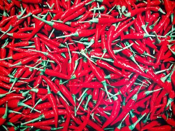 Full frame shot of red chili peppers