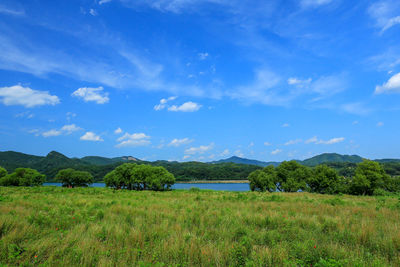 The view of bukhangang river and garden of water ecological park in spring