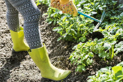 Low section of farmer working in garden