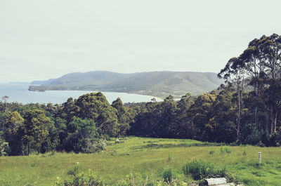 Scenic view of landscape and mountains against sky