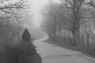 Road amidst trees and plants in forest