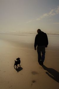 Rear view of man on beach against sky during sunset