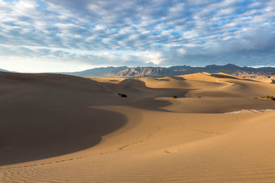 Scenic view of desert against sky