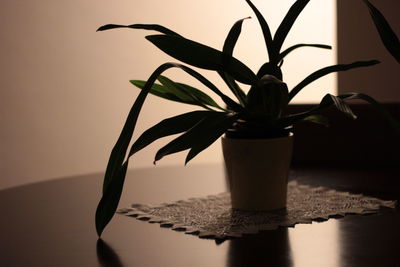 Close-up of vase on table