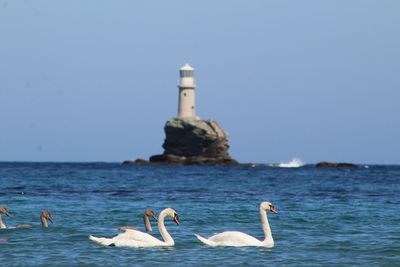 View of birds and lighthouse in sea