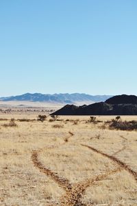 Scenic view of landscape against clear sky