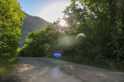 Road amidst trees against sky on sunny day