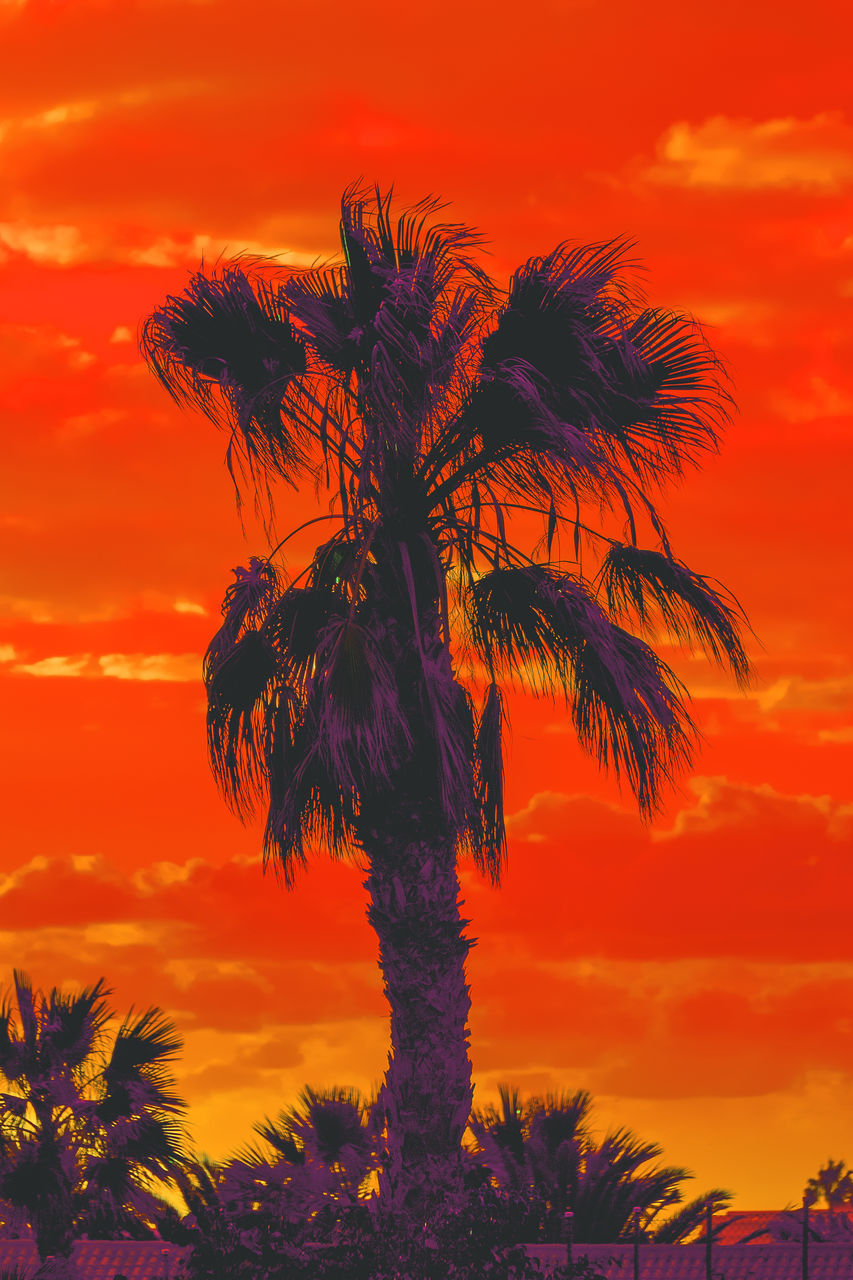 LOW ANGLE VIEW OF SILHOUETTE PALM TREE AGAINST ROMANTIC SKY