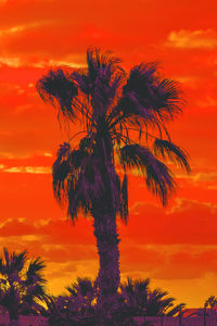 Low angle view of silhouette coconut palm tree against romantic sky