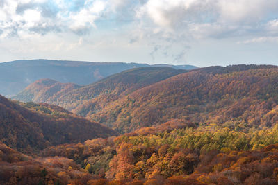 Scenic view of landscape against sky during autumn