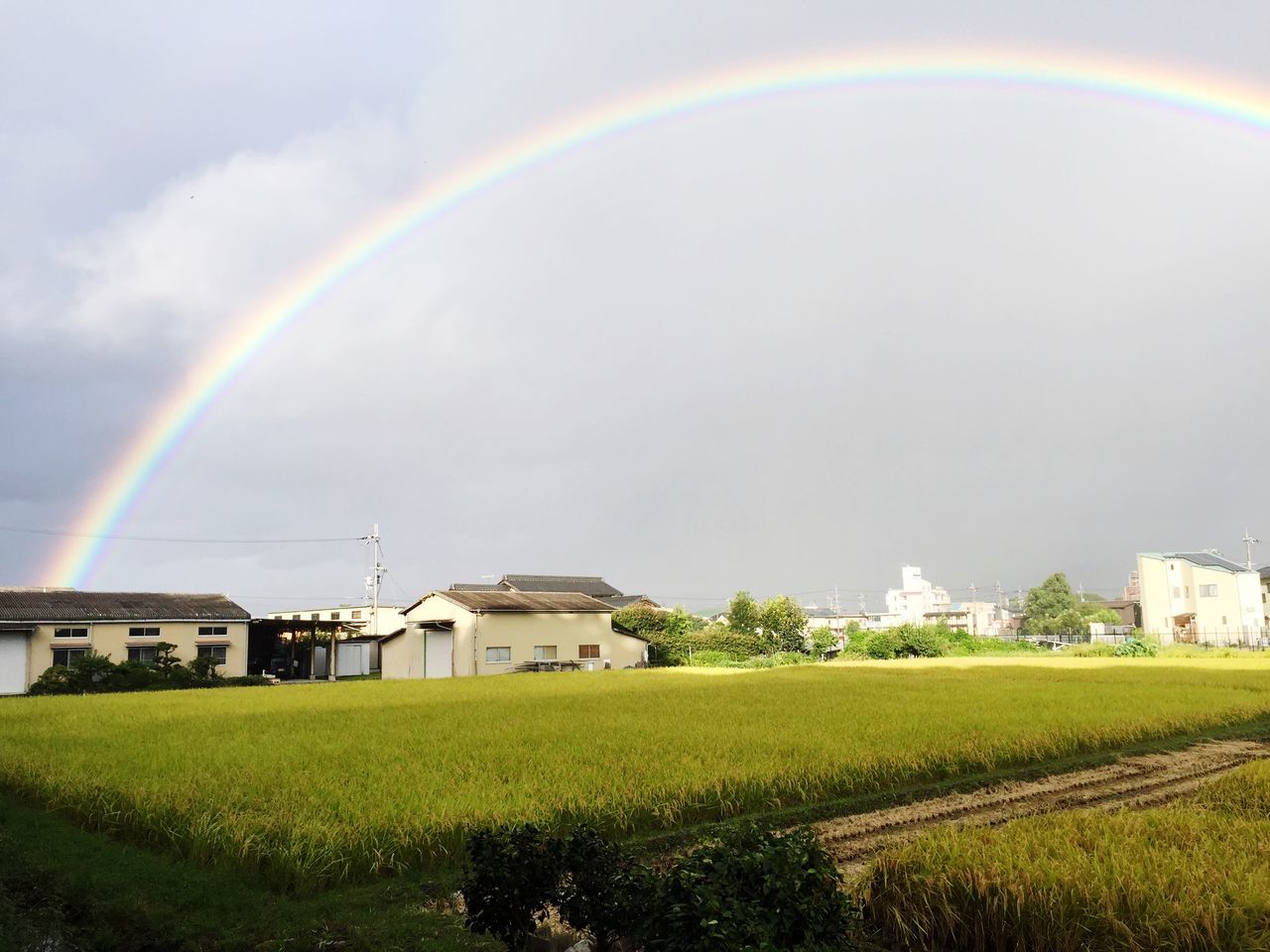 rainbow, grass, landscape, field, sky, architecture, built structure, building exterior, multi colored, green color, nature, rural scene, beauty in nature, scenics, house, tranquil scene, agriculture, cloud - sky, tranquility, grassy