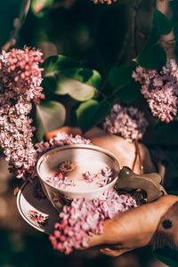 High angle view of pink flower pot on table