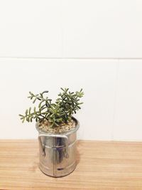 Close-up of potted plant on table