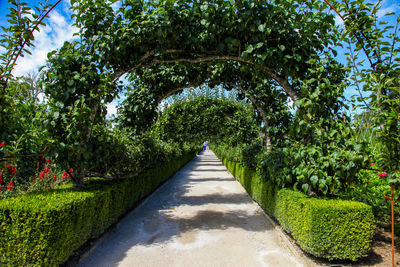 Footpath in garden