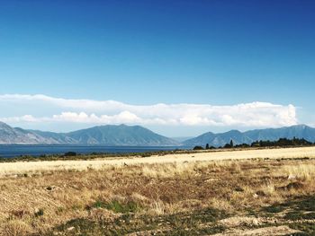 Scenic view of field against blue sky